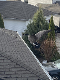 Fair and Square Roofing Inc.