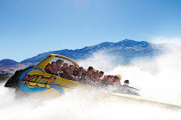 Voice: Specialist Brand Agency