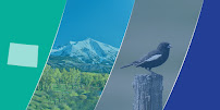 Higher Yields Cannabis Consulting