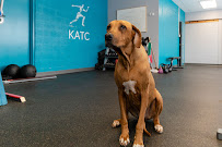 Wozniak Home Physiotherapy