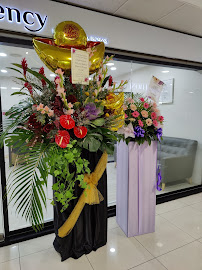Allied Search Pte Ltd