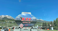 STI Selimovich Transport Inc