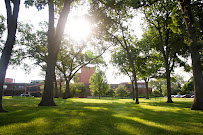 University of Illinois College of Medicine Rockford