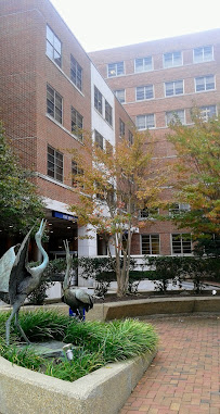 MedStar Georgetown University Hospital