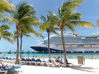 Magnolia Travel Group