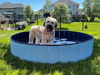 Royal Pet Inc.