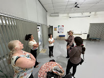 Advocacia Regina Tomazelli