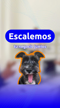 AgenciaMH