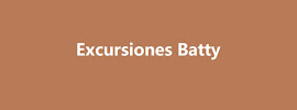 Contador de Viajes