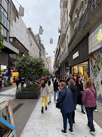 Baxtter Viajes
