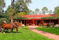 Almundo Microcentro
