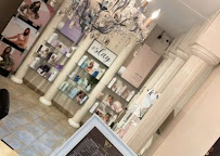 Vine Luxury Spa