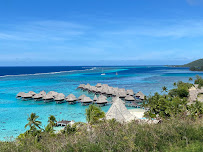 Downunder Travel Ltd