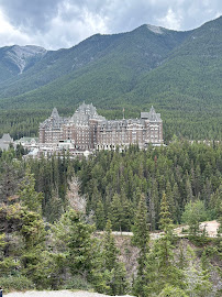 Grizzly Banff Tours