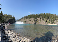 Grizzly Banff Tours