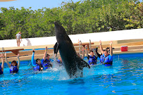 Spirit of Adventure Travel Agents