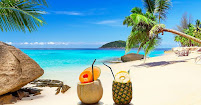 Payless Online Travel