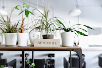 Adara Hair & Body Studio