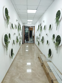 TSS Consultancy Private Limited