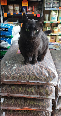 Cricket Inn Pet & Animal Feeds Ltd