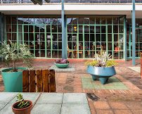 Local Studio