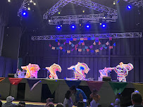 Anita N. Martinez Ballet Folklorico