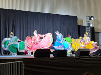 Anita N. Martinez Ballet Folklorico