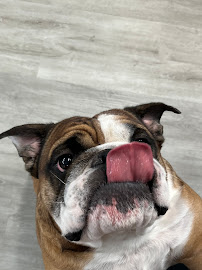 Tristan's Barbershop