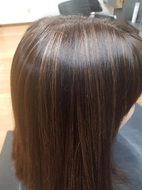 Modern Salon