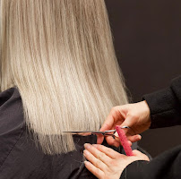 SheerEligance Salon & Spa