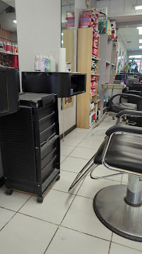 Owl Salon