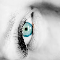 Everlasting Beauty Co.