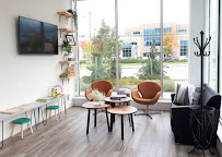 Vivant Dental