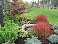 Larix Landscape