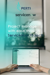 Perti Solutions Inc