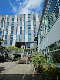 English Language Institute
