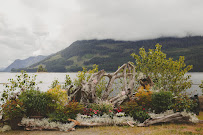 Sea Tree Weddings & Events
