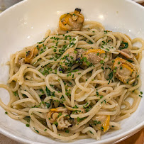 Oddfish Restaurant