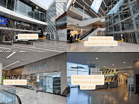 Avanza Canadian Immigration Consulting