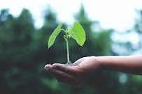 Be Protected Financial - Life Insurance Vancouver