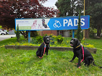 Pacific Assistance Dogs