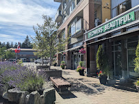 Tsawwassen Town Centre Mall