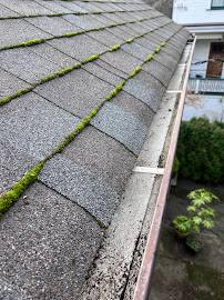 Friendly Giant Window, Gutter & Roof Cleaning