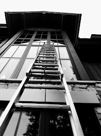 Alpine Shine Window Cleaning