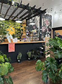 Greenhouse Coffee + Plants