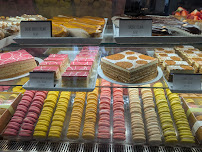 Pistacia Vera