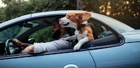 Cool Breeze Auto
