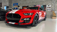 Car Team USA