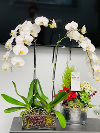 Yin Acupuncture & Integrative Herbal Healing Center