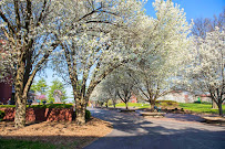 Southern Illinois University Edwardsville
